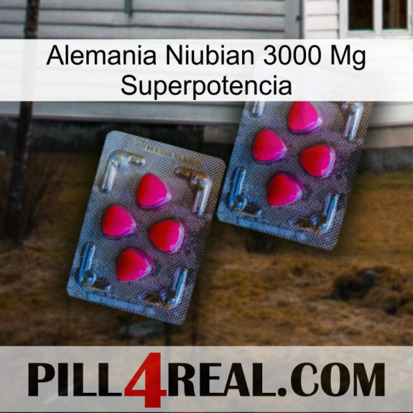 Germany Niubian 3000 Mg Superpower 14.jpg